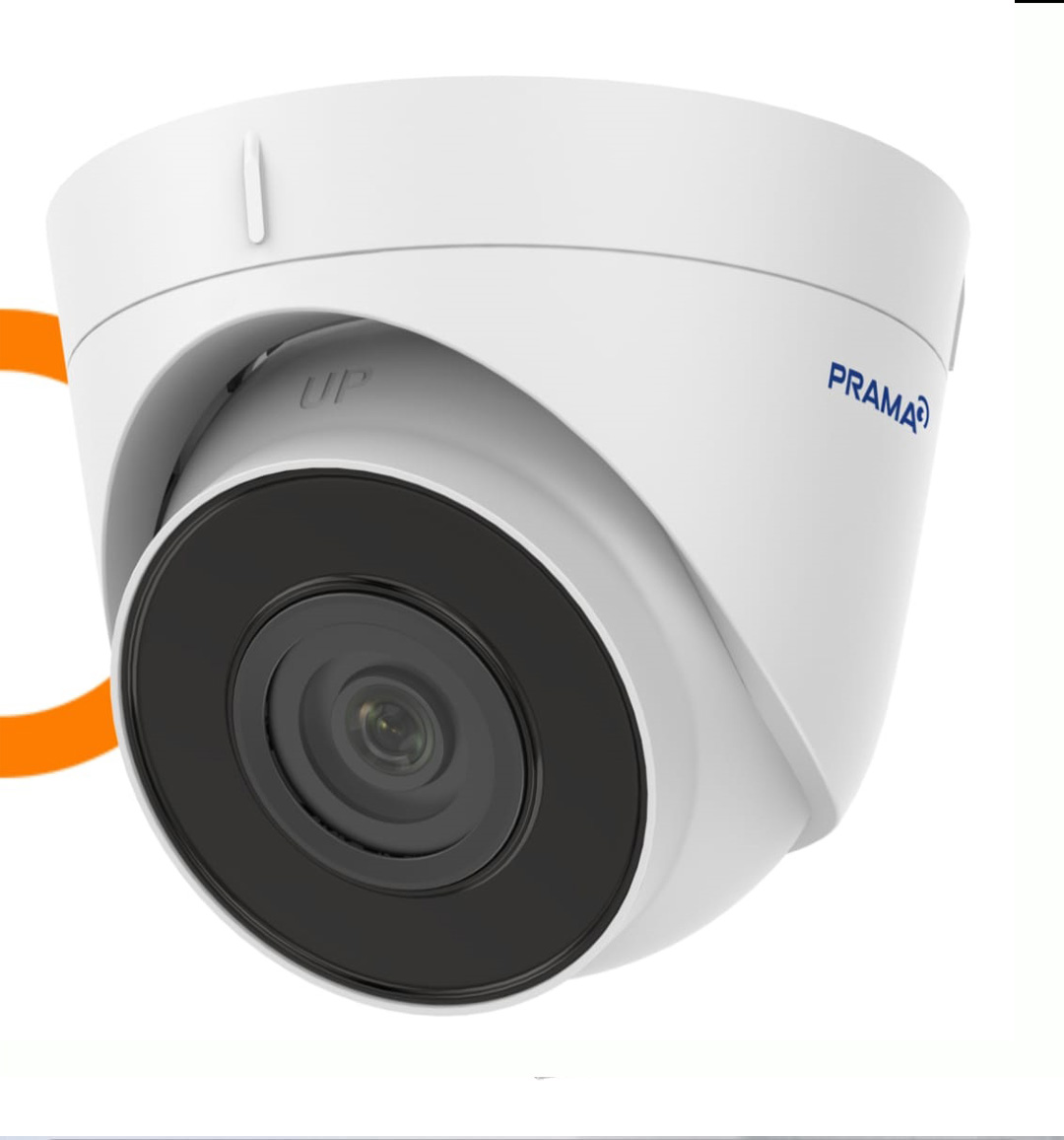 2 MP IR Fixed Network Turret Camera